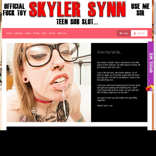 skylersynn.com