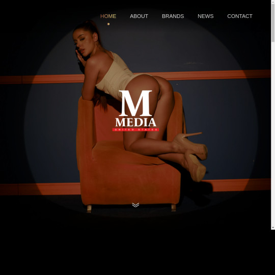 modelmediaus.com