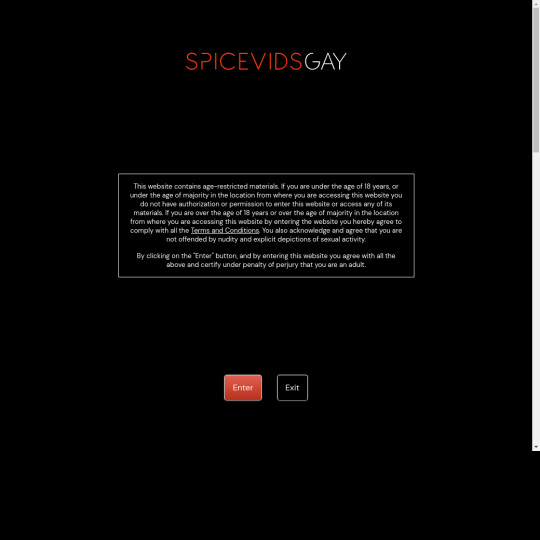 spicevidsgay.com
