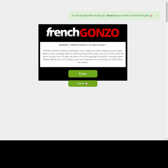 frenchgonzo.com