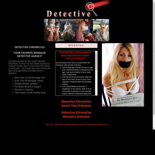 detectivechronicles.com