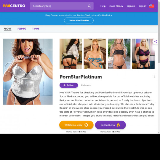 pornstarplatinum.com