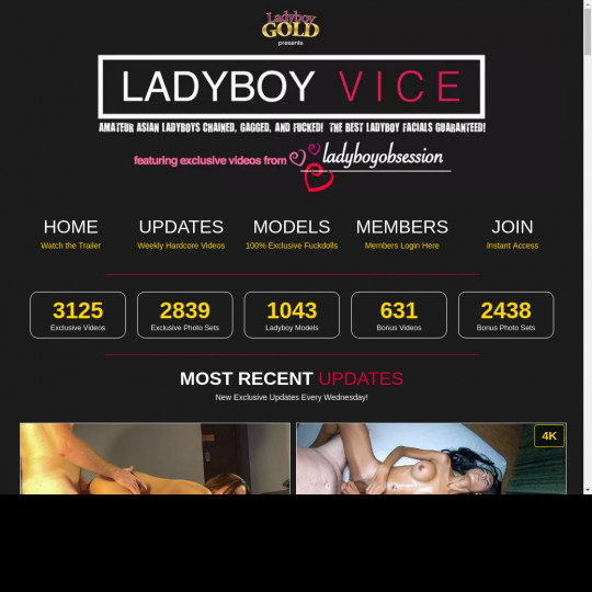 ladyboyvice.com