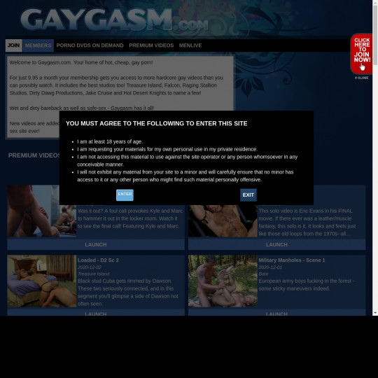 gaygasm.com