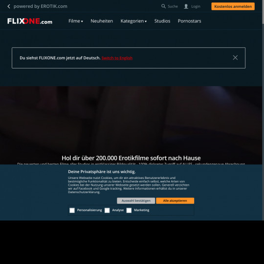 flixone.com