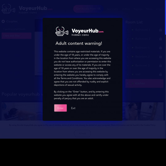 voyeurhub.com