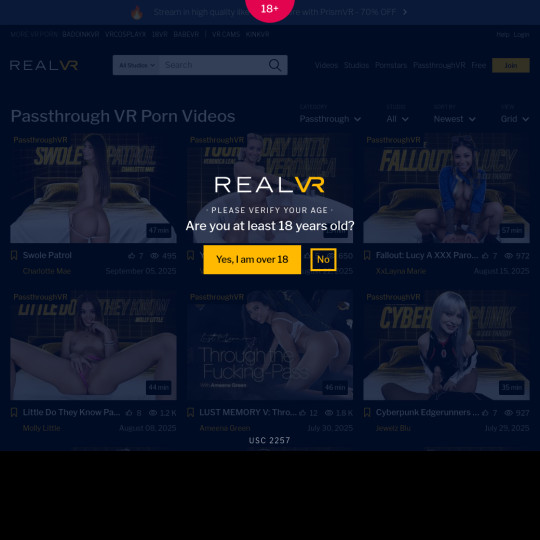 passthroughvr.com