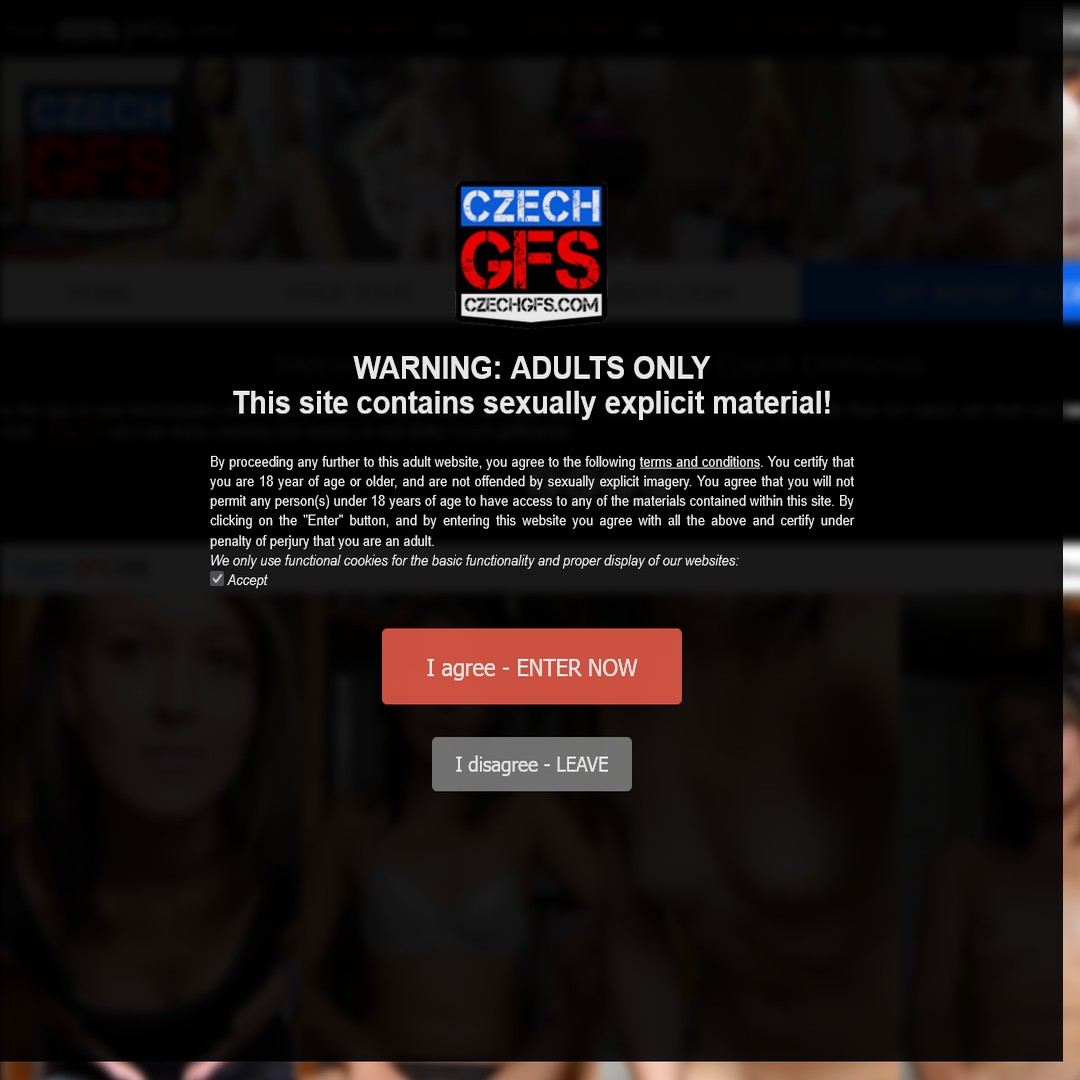 czechgfs.com passwords