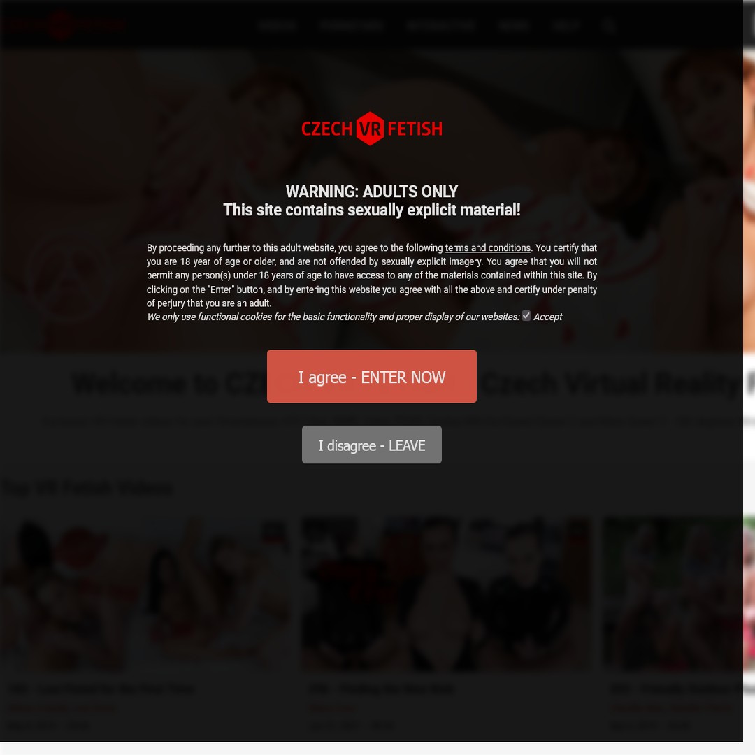 czechvrfetish.com passwords